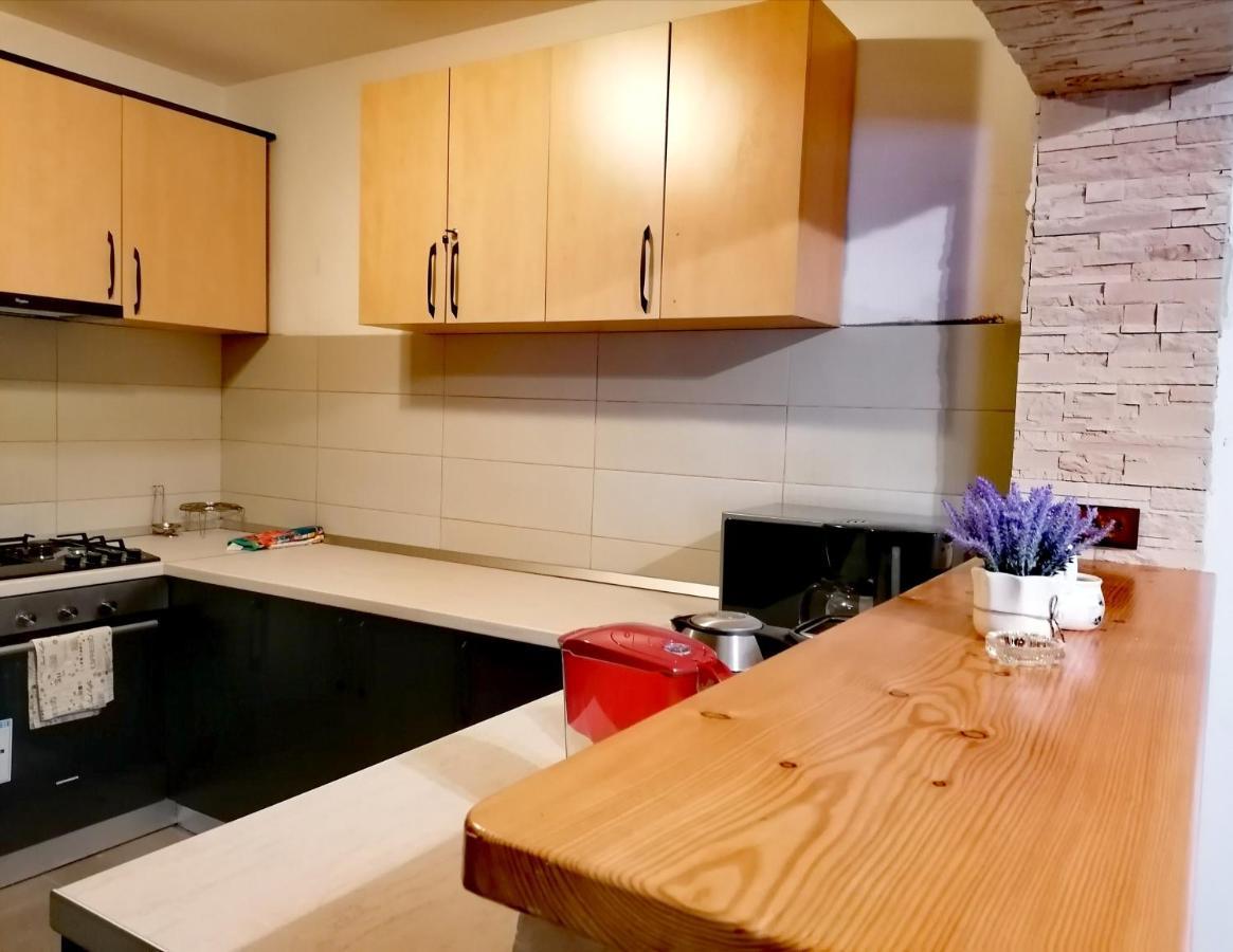 Voinescu House - Natural Living & Eating Simon Ngoại thất bức ảnh