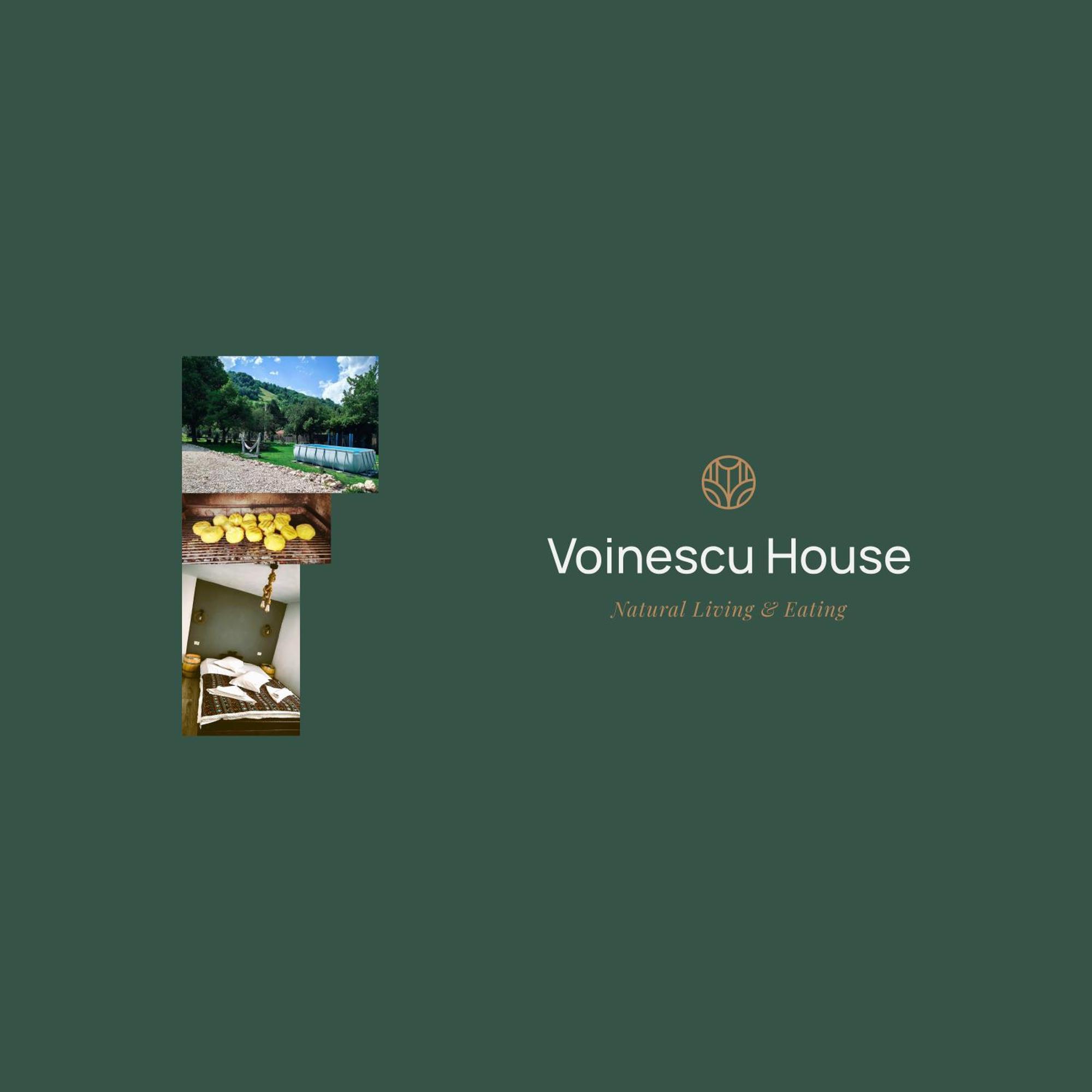 Voinescu House - Natural Living & Eating Simon Ngoại thất bức ảnh